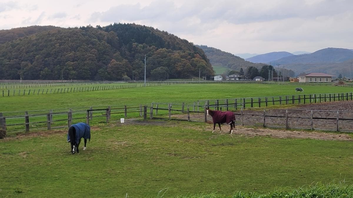 29a9983d413e35ed699720379721e6e7-1763313898.jpg 29a9983d413e35ed699720379721e6e7-1763313898.jpg